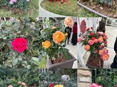 -人民公园(罗湖区)