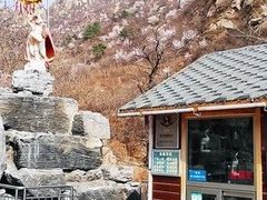 -大岭沟猕猴桃谷风景区