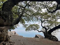 -抚仙湖禄充风景区