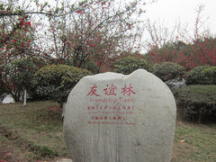 -四川大学(江安校区)