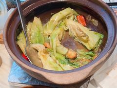 啫啫生菜煲-陶陶居酒家(SM二期购物广场店)