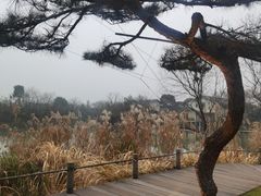 -新荣记(西溪湿地店)