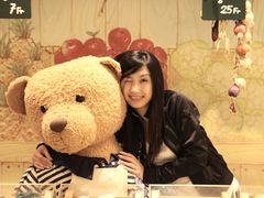 -济州岛泰迪熊博物馆