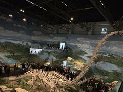 -自贡恐龙博物馆