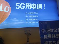 -中国电信(光谷创业街营业厅)