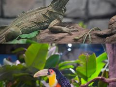 -正佳雨林生态植物园