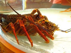 -万龙洲海鲜(大兴绿地缤纷城店)