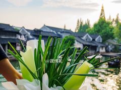 -乌镇西栅景区