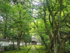 -西芳寺(苔寺)