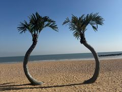 -日照灯塔风景区