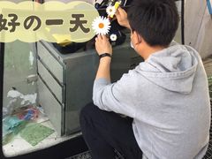 -福耀汽车玻璃(浦东店)