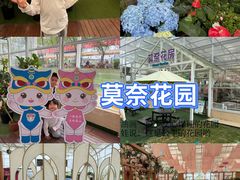 -盈香心动乐园