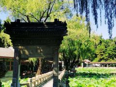 -颐和园