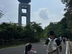 -白云山风景名胜区