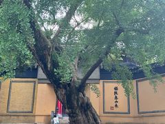 -无锡惠山寺