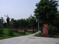 景点-王借岗森林公园