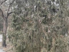 -元大都城垣遗址公园