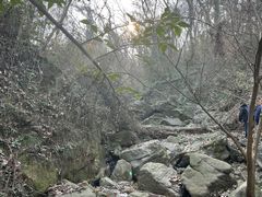 -紫金山山顶公园
