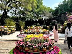 -广州莲花山旅游区
