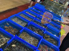 -七鲜渔港美食餐厅(巽寮湾海景店)
