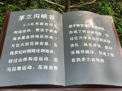 -茅兰沟国家森林公园