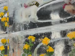 -沈阳奥体冰雪嘉年华
