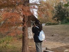 -祥源·阜阳生态乐园