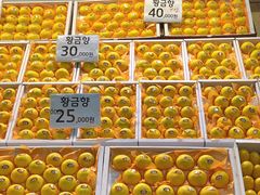 -西归浦每天偶来市场