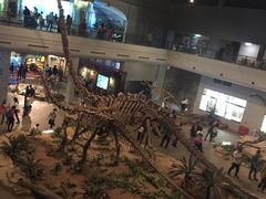 -自贡恐龙博物馆