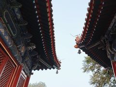 -北京艺术博物馆(万寿寺)