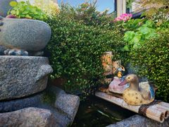 -川旺角融合菜•海景餐厅(星海广场店)