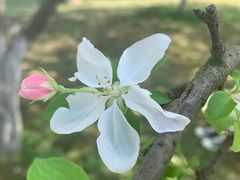 -洋湖国家湿地公园