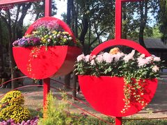 -汇龙潭