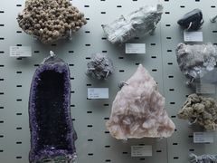 -浙江自然博物院(杭州馆)