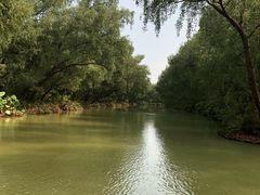 -大湾区中央湿地公园