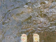 -重庆彩云湖湿地公园