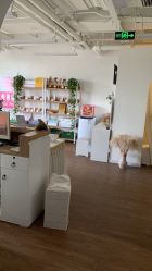 -美肌工坊皮肤管理