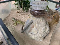 -广州长隆飞鸟乐园