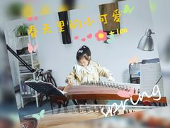 -爱乐蒙艺术·古筝 钢琴 声乐(科华校区)