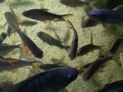 -多彩贵州城极地海洋世界