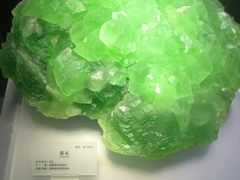 -湖南省地质博物馆