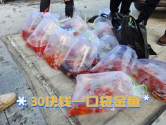 -华声天桥民俗文化园