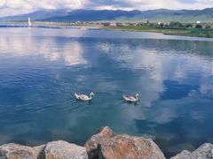 -青海湖国家重点风景名胜区