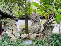 -秋霞圃