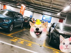 -宜家家居（上海徐汇商场店）-停车场