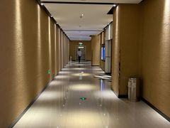 -百丽宫影城(CGS激光苏宁广场店)