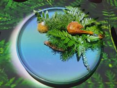 -良设夜宴 LIANGSHE