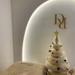 -Doria salon 小颜皮肤