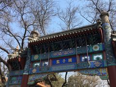 -北京国子监胡同