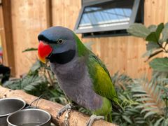 -南宫五洲植物乐园